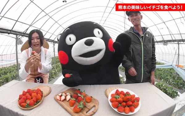 熊本県産のイチゴを紹介するVR動画の一場面