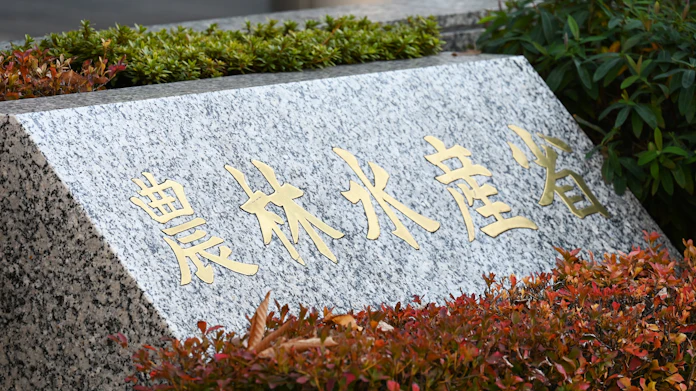 熊本産アサリに外国産混入か 農水省 産地偽装で調査 日本経済新聞 熊本産アサリに外国産混入か 農水省 産地偽装で調査 日本経済新聞