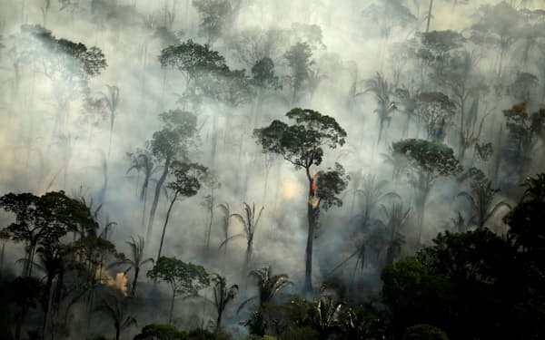 ブラジル北西部ロンドニア州の熱帯雨林(19年9月)＝ロイター
