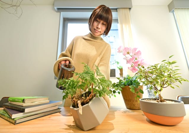 おうち時間 観葉植物で潤う 失敗しない育て方のコツ Nikkei Style おうち時間 観葉植物で潤う 失敗しない育て方のコツ Nikkei Style
