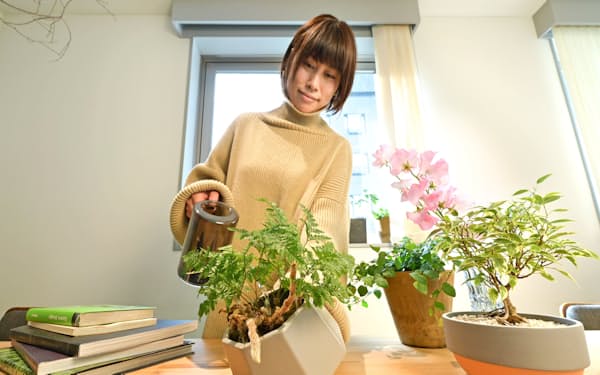 おうち時間を快適にするため、観葉植物を育てる人が増えている（東京都港区）=中岡詩保子撮影