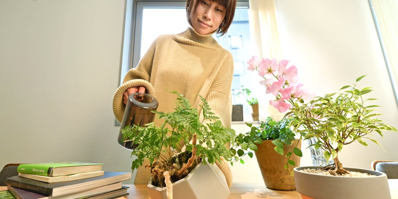 水やりのコツ おうち時間 観葉植物で潤う 失敗しない育て方のコツ Nikkei Style 水やりのコツ おうち時間 観葉植物で潤う 失敗しない育て方のコツ Nikkei Style