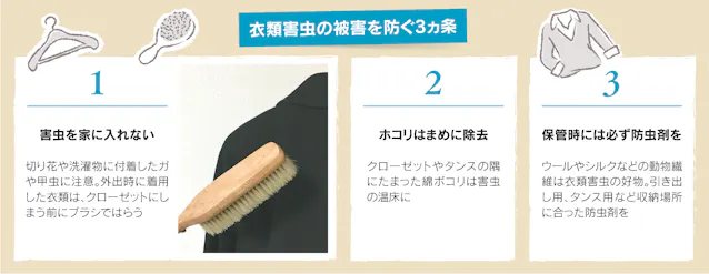 衣類の虫食い防止 暖かくなる前に対策を 日本経済新聞 衣類の虫食い防止 暖かくなる前に対策を 日本経済新聞