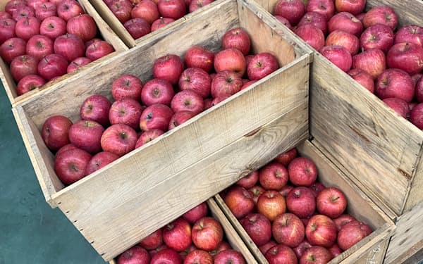 東果大阪は使用済みリンゴ用木箱の外販事業に本格着手する
