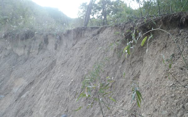 埼玉県小川町のメガソーラー計画地では、環境破壊や土砂災害の危険性が指摘されている