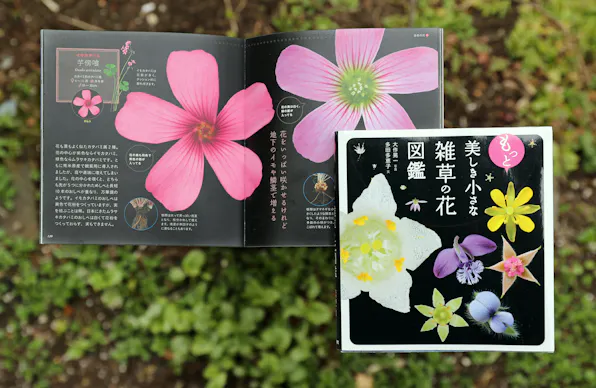 まるでアートな生物図鑑 大人の知的冒険 贈り物にも 日本経済新聞 まるでアートな生物図鑑 大人の知的冒険 贈り物にも 日本経済新聞