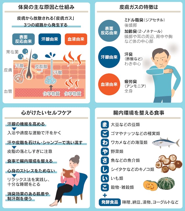 体臭の原因がわかれば解決策も見えてくる! - 体臭の主な原因