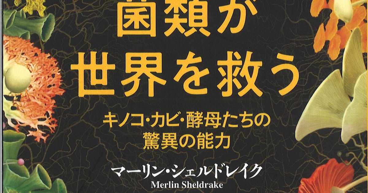 菌類が世界を救う マーリン シェルドレイク著 日本経済新聞 菌類が世界を救う マーリン シェルドレイク著 日本経済新聞