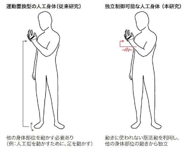 第6の指 身体化に成功 思い通りの操作が可能に 日本経済新聞 第6の指 身体化に成功 思い通りの操作が可能に 日本経済新聞
