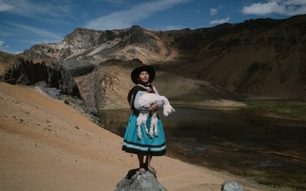 アルパカの赤ん坊を抱くアリーナ・スルキスラ・ゴメス氏。彼女の家族は3世代にわたってアルパカを飼育しており、気候変動がもたらす影響を目の当たりにしてきた（PHOTOGRAPH BY ALESSANDRO CINQUE）
