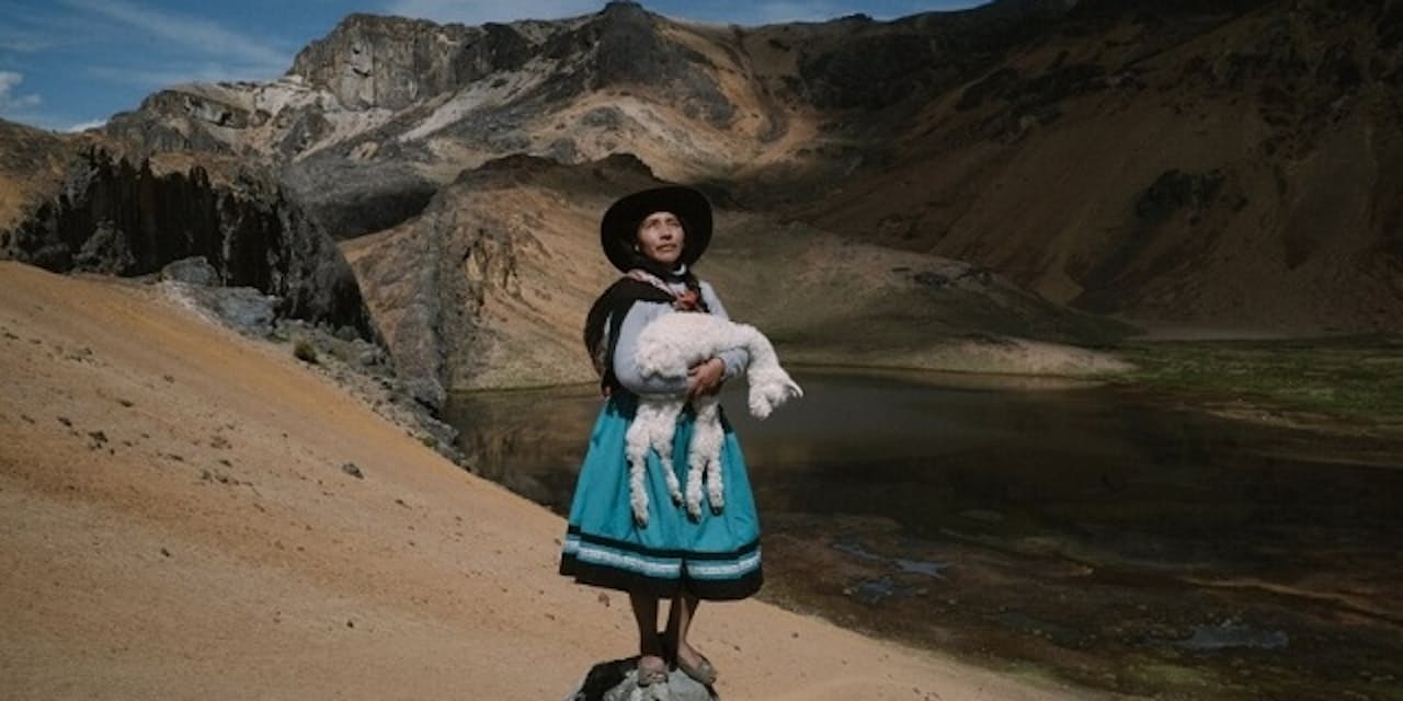 南米アンデス伝統のアルパカ飼育 気候変動で危機 Nikkei Style 南米アンデス伝統のアルパカ飼育 気候変動で危機 Nikkei Style