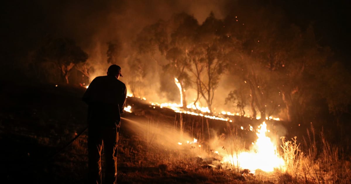 大規模な山火事 30年までに14 増も 国連報告書 日本経済新聞 大規模な山火事 30年までに14 増も 国連報告書 日本経済新聞