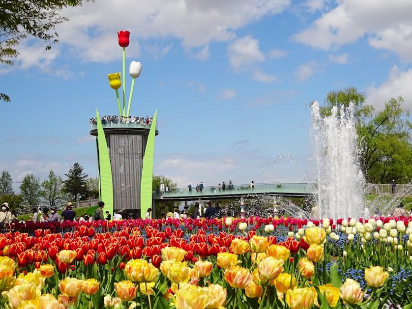 春を感じるチューリップの名所へ 富山に長崎 北海道 日本経済新聞 春を感じるチューリップの名所へ 富山に長崎 北海道 日本経済新聞