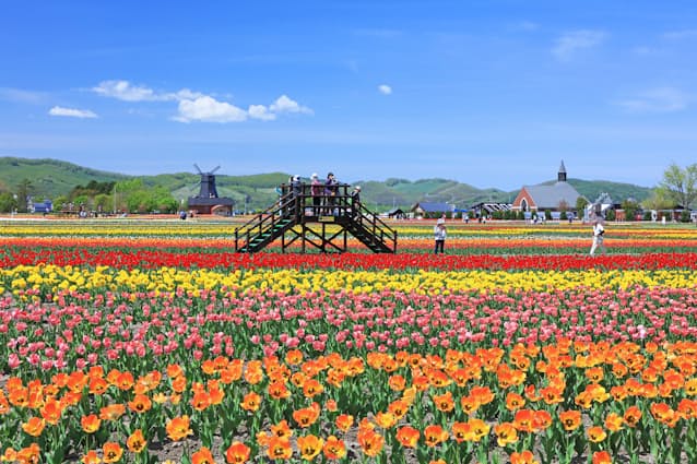 春を感じるチューリップの名所へ 富山に長崎 北海道 日本経済新聞 春を感じるチューリップの名所へ 富山に長崎 北海道 日本経済新聞