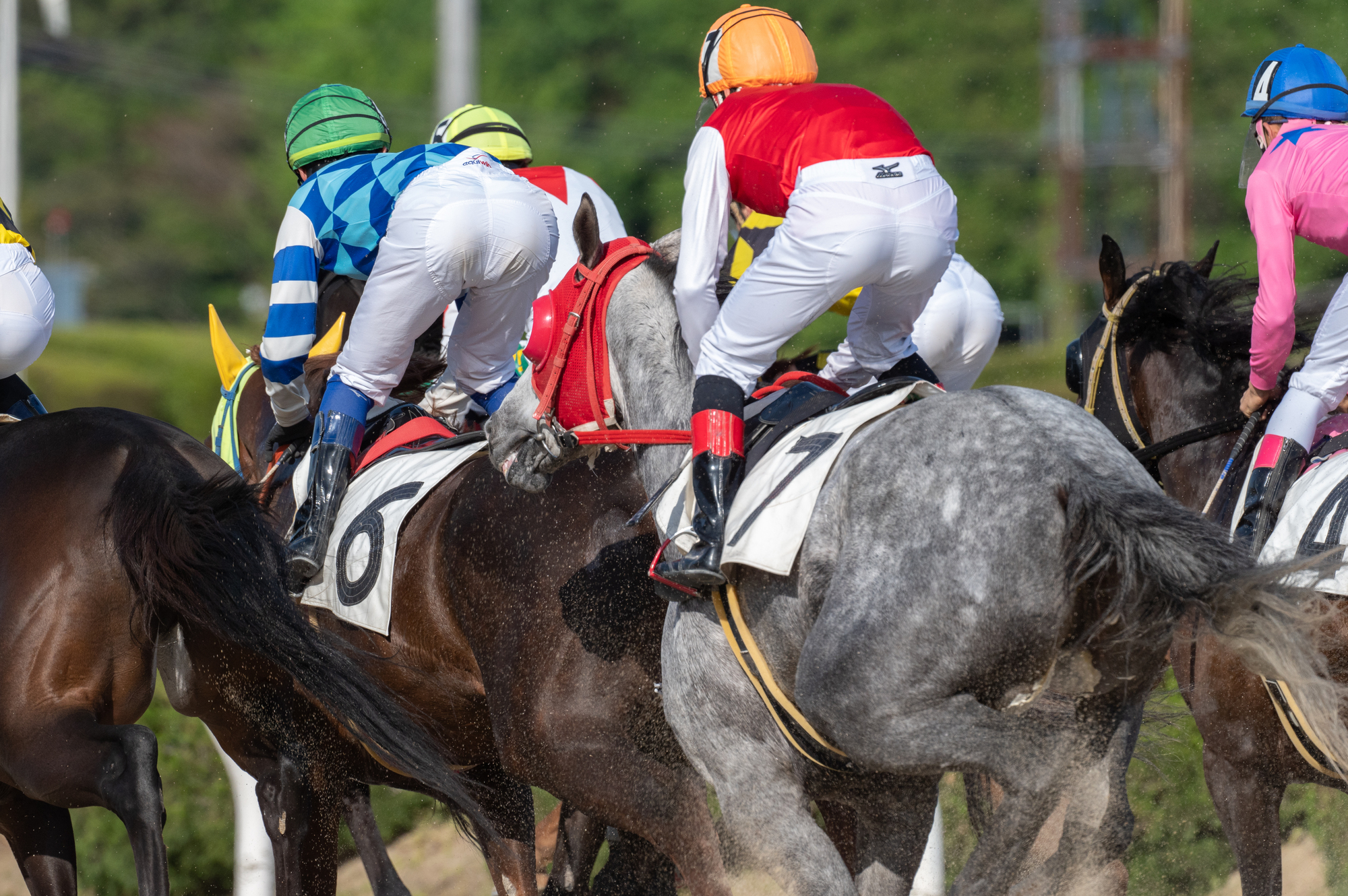 日本では競馬や競艇などに賭けの対象が限られている（写真はイメージ） =PIXTA
