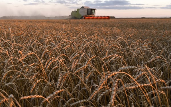 ロシアは世界の小麦輸出の１７％を占める＝ロイター