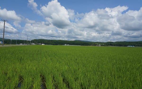 北海道は新潟県に次ぐコメの生産地