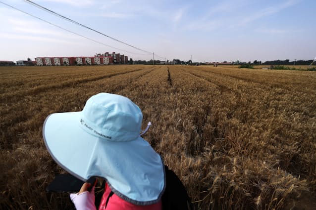 Ft Lex ウクライナ危機が揺るがす中国の食料安保 日本経済新聞 Ft Lex ウクライナ危機が揺るがす中国の食料安保 日本経済新聞