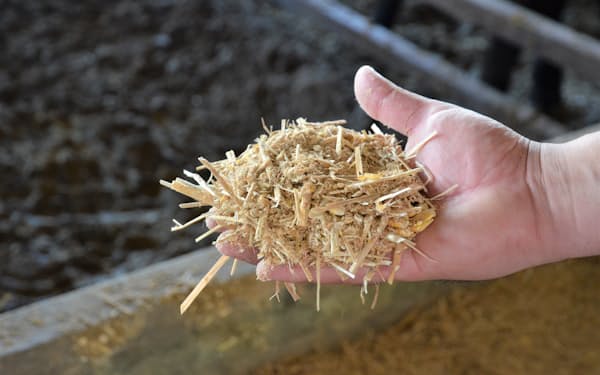 知床牛が食べる牧草は全て北海道産、配合飼料は独自設計だ（6月18日、北海道大空町）
