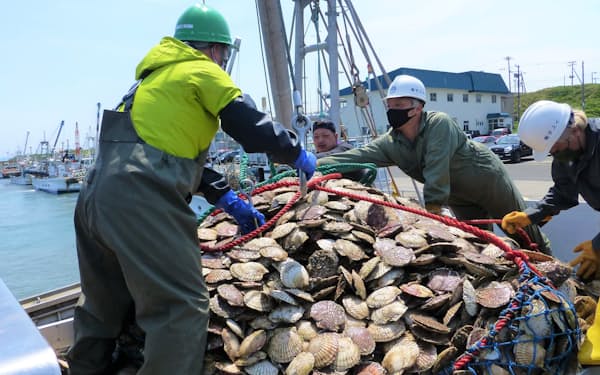 北海道猿払村ではホタテ貝の輸出が伸びた