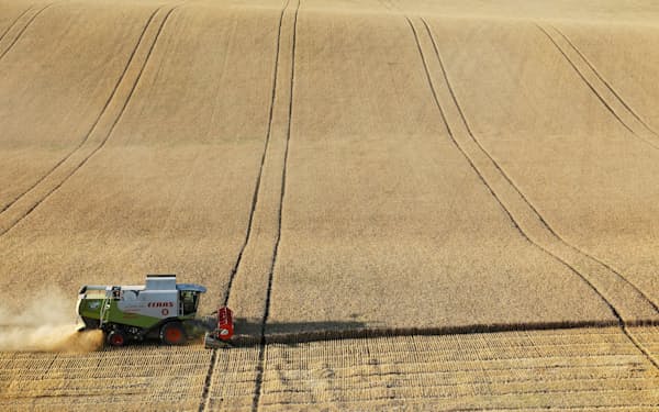ロシアは小麦の最大輸出国だ（ロシア南部の小麦畑）＝ロイター