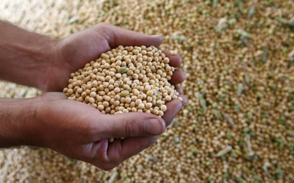ウクライナの戦争の影響で大豆の価格が高騰、生産国のブラジルはその恩恵を受けている＝ロイター