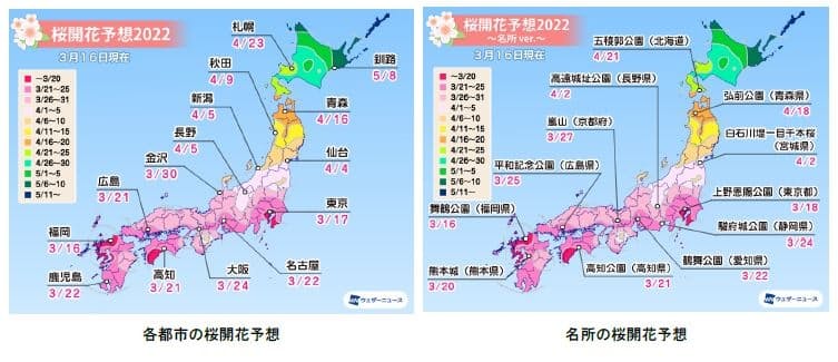 ウェザーニューズ 第六回桜開花予想 を発表 日本経済新聞 ウェザーニューズ 第六回桜開花予想 を発表 日本経済新聞