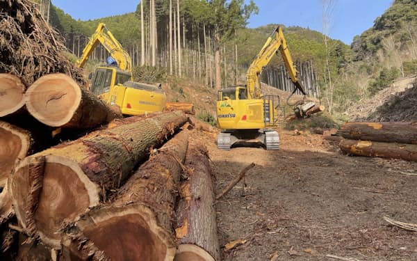 林道が整備され、伐採と植林（再造林）のサイクルが構築できる森林が金融資産化のターゲット