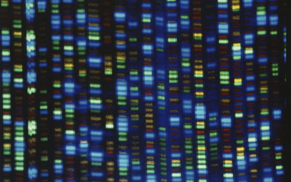 ヒトゲノムを解析する装置、シ  ーケンサーから出力された画像（米国立ヒトゲノム研究所が提供）