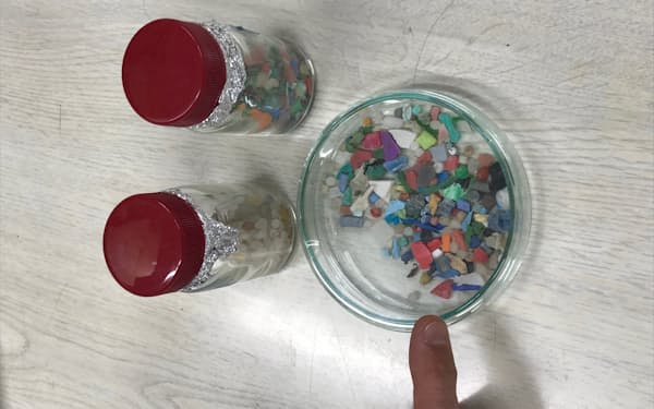 細かく砕かれたプラスチックが海や川で大量に見つかっている（東京農工大・高田秀重教授室で）