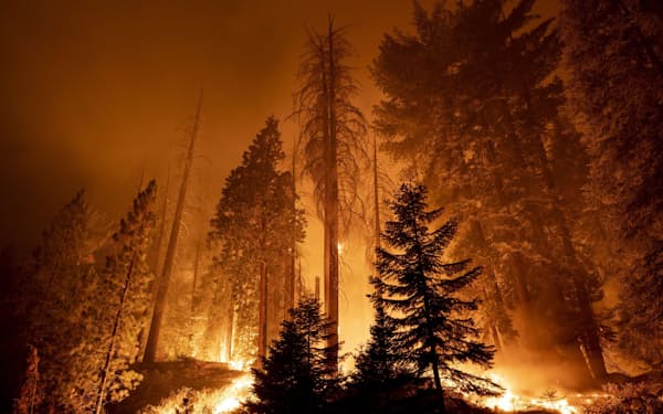 米カリフォルニア州の山火  事。異常な雨不足で山がかわき、大きな山火事が世界で起きている＝ゲッティ共同