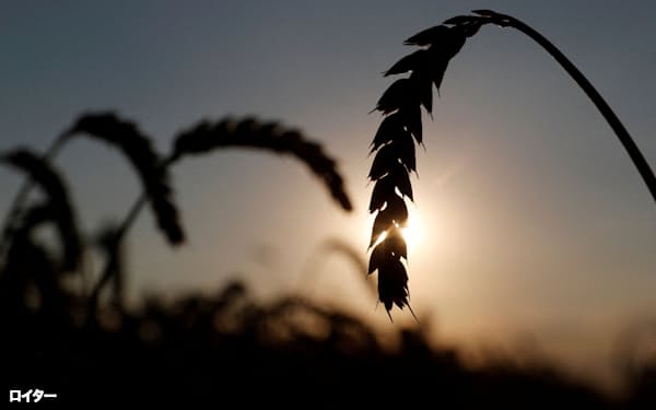 ウクライナは世界5位の小麦輸出国=ロイター