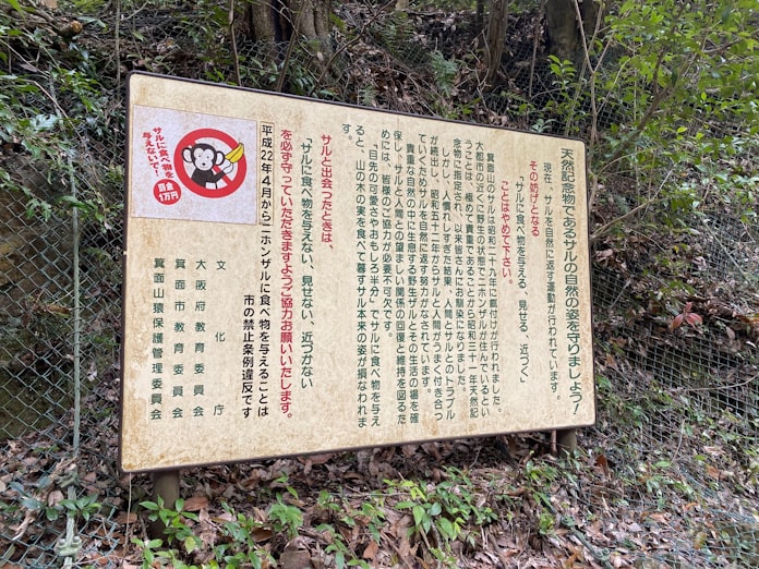 大阪 箕面山のサルはどこに 自然回帰へ山奥に誘導 日本経済新聞 大阪 箕面山のサルはどこに 自然回帰へ山奥に誘導 日本経済新聞