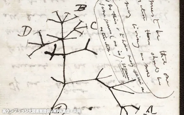 チャールズ ダーウィン のニュース一覧 日本経済新聞 チャールズ ダーウィン のニュース一覧 日本経済新聞