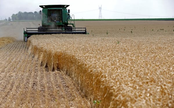 米国の小麦の作柄が悪化している＝ロイター