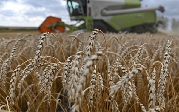 ロシアのウクライナ侵攻で小麦価格が一段と上昇した（ロシアのオムスク地域の農場）＝ロイター