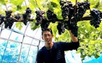 藤田佳三さんは「北九州市北部の土壌に合うブドウの品種の研究を続けたい」と話す（同市若松区）