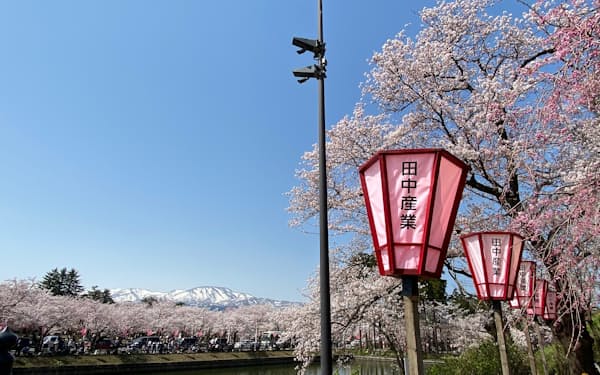 高田城址公園の桜は上越の春の代名詞だ（10日、上越市）