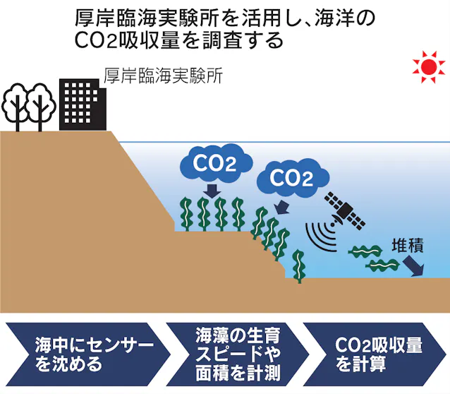 ソニーと北大 海でのco2吸収向上へ研究拠点 日本経済新聞 ソニーと北大 海でのco2吸収向上へ研究拠点 日本経済新聞