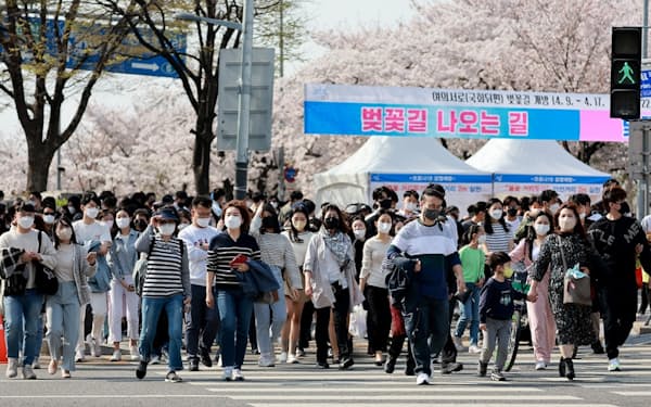 ソウル市の桜の名所、汝矣島（ヨイド）には花見客があふれた（９日午後）