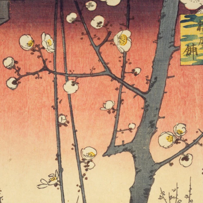 X5krttmf6ucmsm X5krttmf6ucmsm