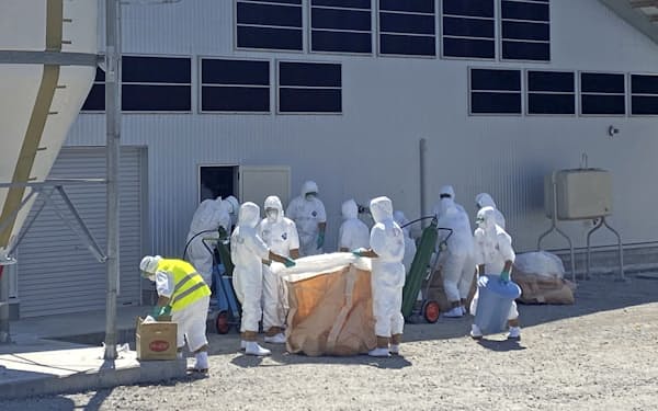 鳥インフルエンザが確認された養鶏場で作業する職員ら（16日、北海道白老町＝道庁提供）