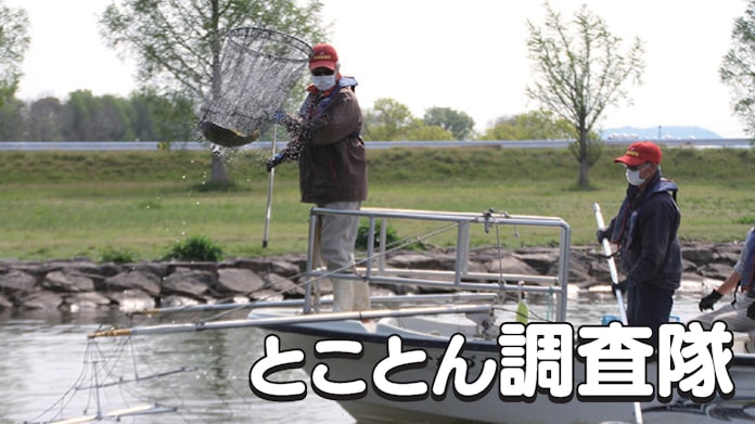 琵琶湖の外来魚対策 バス ギルからナマズまで 日本経済新聞 琵琶湖の外来魚対策 バス ギルからナマズまで 日本経済新聞