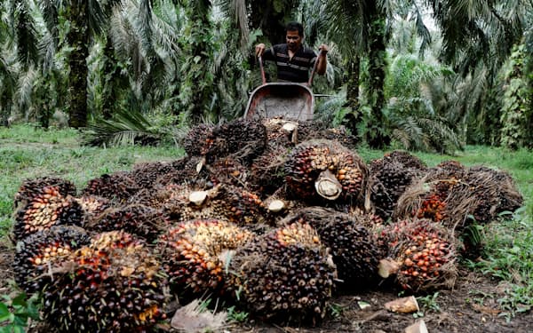 インドネシアの輸出禁止が世界の物価を高める可能性がある（同国のパーム農園）=ロイター
