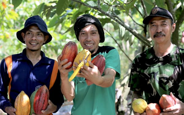 ロッテが1月に買収したダリケーは、インドネシアの契約農家からカカオ豆を直接買い付ける