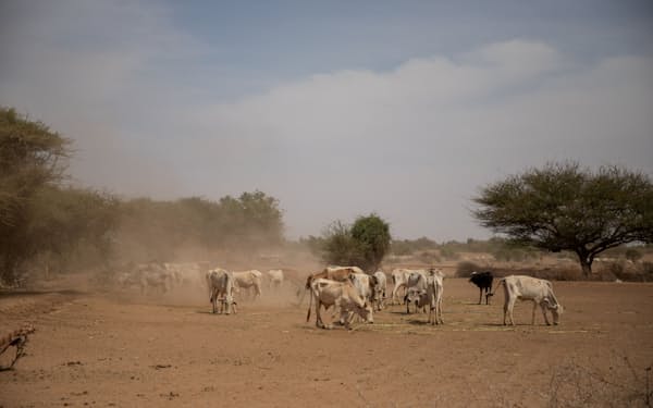 干ばつに見舞われているエチオピアの平原（世界食糧計画提供）=ロイター