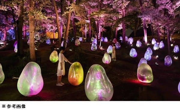 チームラボ 長居植物園に夜の常設展 チームラボ ボタニカルガーデン 大阪 をオープン 日本経済新聞 チームラボ 長居植物園に夜の常設展 チームラボ ボタニカルガーデン 大阪 をオープン 日本経済新聞