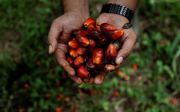 インドネシアのパーム油の輸出禁止措置は食用油の価格高騰に悩む消費者にさらなる打撃を与えた＝ロイター