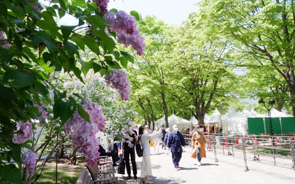 札幌市・大通公園の会場で3年ぶりの開催となった