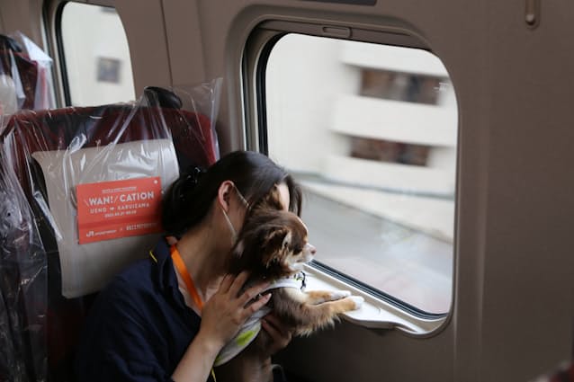 ペットと一緒に新幹線 Jr東日本などが実証実験 日本経済新聞 ペットと一緒に新幹線 Jr東日本などが実証実験 日本経済新聞